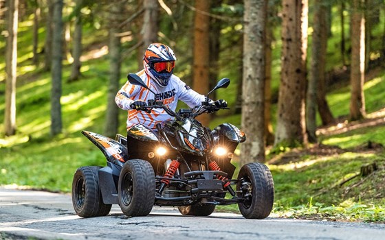 Neufahrzeug Access Xtreme Supermoto 300 - Bild 7