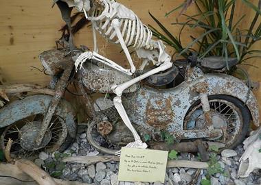 Gebrauchte Gebrauchte