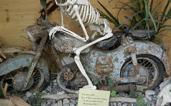 Gebrauchtmotorrad Puch 175 SV - Bild 1