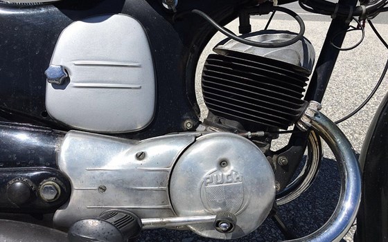 Gebrauchtmotorrad Puch 175 SV - Bild 2