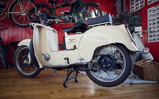 Gebrauchtmotorrad Moto Guzzi Galletto - Bild 3