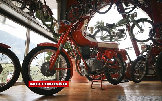 Gebrauchtmotorrad Gilera Giubleo 98 - Bild 3