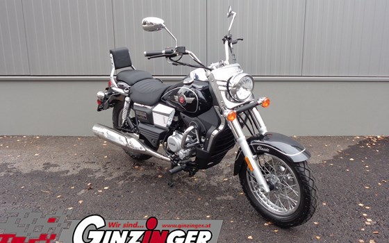 Neufahrzeug United Motors UM Renegade Commando Classic 125 - Bild 1 Neufahrzeug United Motors UM Renegade Commando Classic 125 - Bild 1