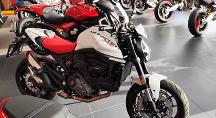 Neumotorrad Ducati Monster