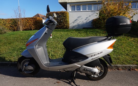 Motorrad Occasion Honda SCV 100 Lead - Bild 2