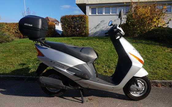 Motorrad Occasion Honda SCV 100 Lead - Bild 4
