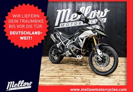 Neumotorrad Triumph Tiger 900 Rally Pro Neumotorrad Triumph Tiger 900 Rally Pro