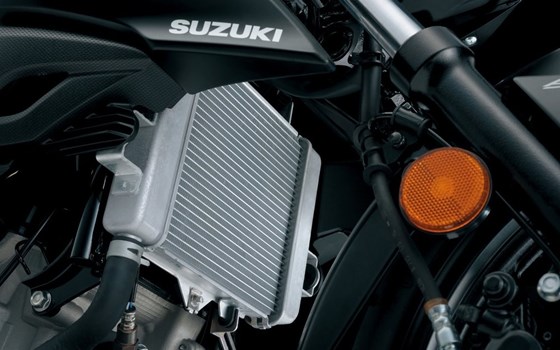 Neufahrzeug Suzuki GSX-S125 - Bild 7 Neufahrzeug Suzuki GSX-S125 - Bild 7