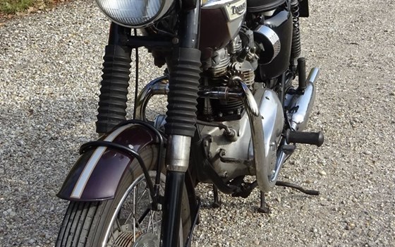 Gebrauchtmotorrad Triumph Bonneville T120 - Bild 2 Gebrauchtmotorrad Triumph Bonneville T120 - Bild 2