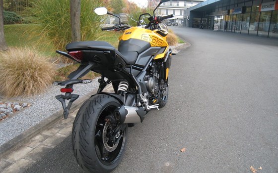 Neufahrzeug Brixton Felsberg 125 - Bild 13