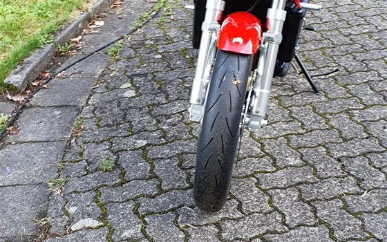 Neufahrzeug Magni Italia - Bild 16