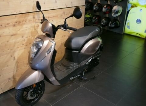 Neufahrzeug Sym Mio 50 - Bild 2