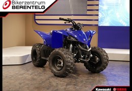 Neumotorrad Yamaha YFZ50