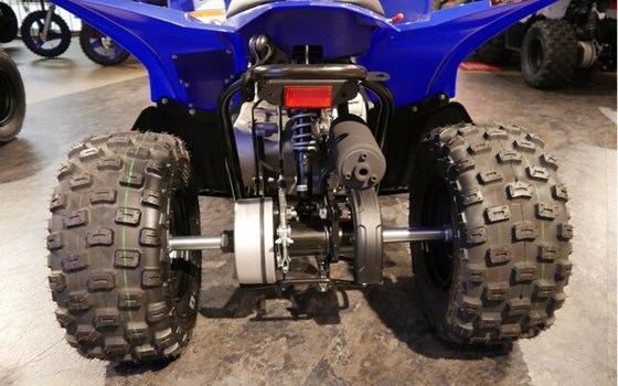 Neufahrzeug Yamaha YFZ50 - Bild 8