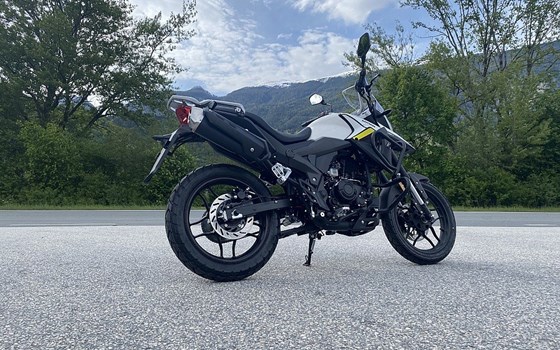 Neufahrzeug Motron X-Nord 125 - Bild 3