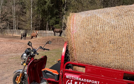 Neufahrzeug Jinlun JL50qt-5 - Bild 11