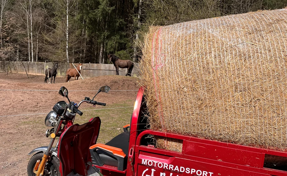 Offer Jinlun JL50qt-5 Bild 11: Offer Jinlun JL50qt-5