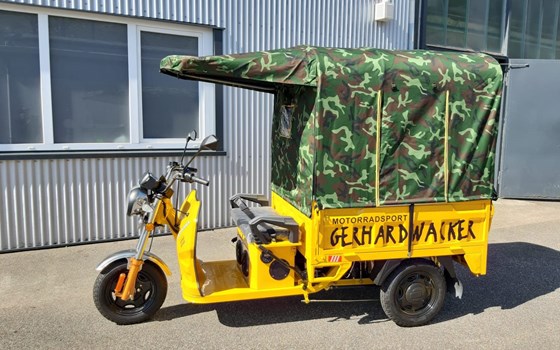 Neufahrzeug Jinlun JL50qt-5 - Bild 15