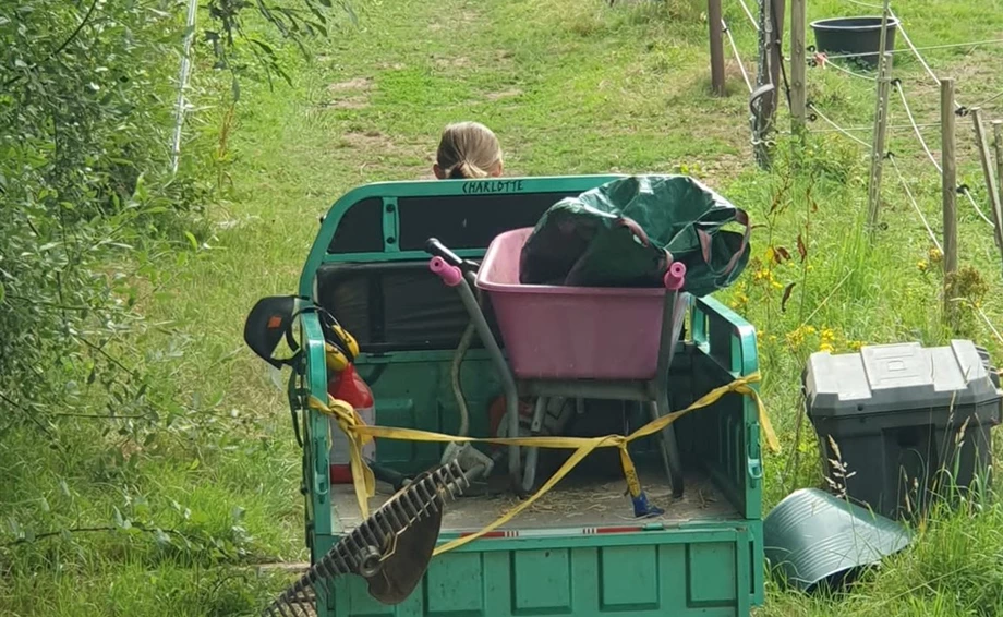 Offer Jinlun JL50qt-5 Bild 19: Offer Jinlun JL50qt-5