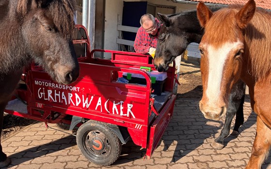 Neufahrzeug Jinlun JL50qt-5 - Bild 2