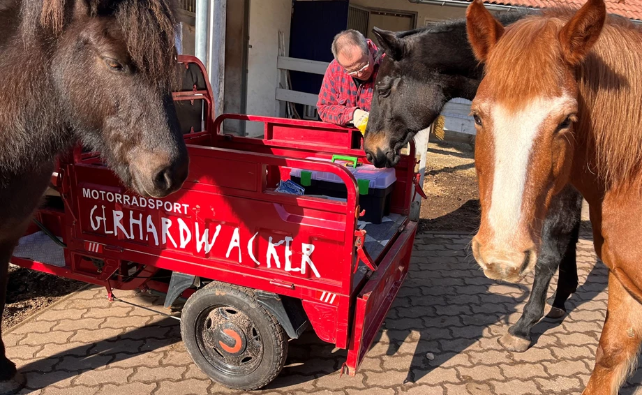 Offer Jinlun JL50qt-5 Bild 2: Offer Jinlun JL50qt-5