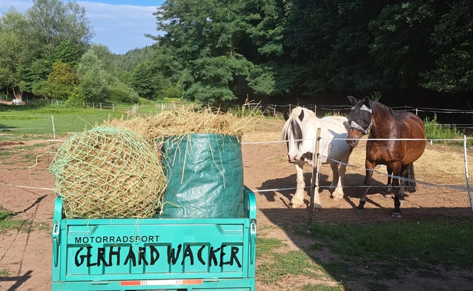 Offer Jinlun JL50qt-5 Bild 23: Offer Jinlun JL50qt-5