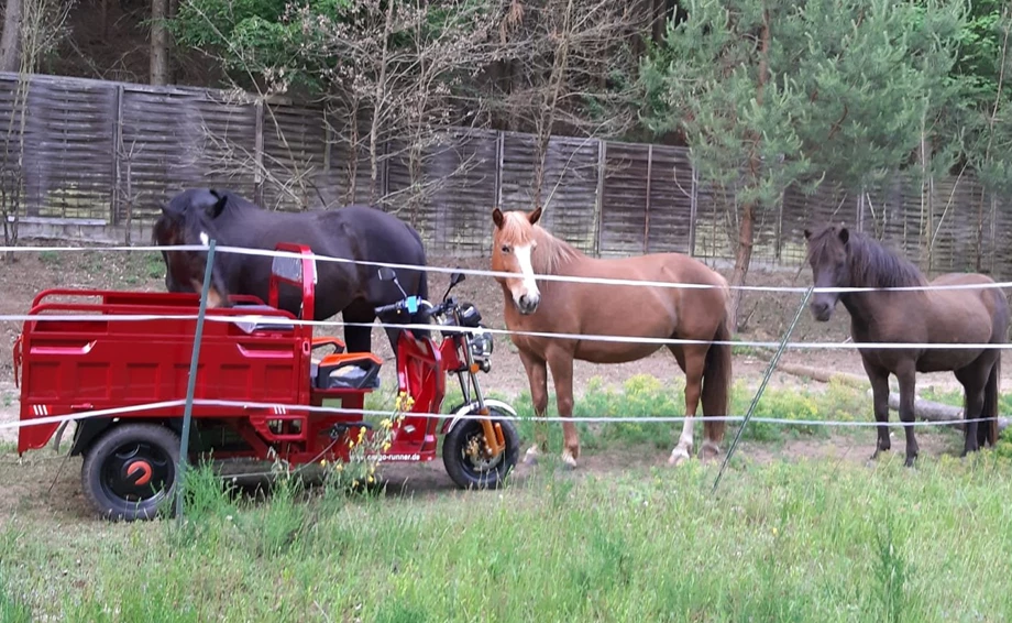 Offer Jinlun JL50qt-5 Bild 9: Offer Jinlun JL50qt-5