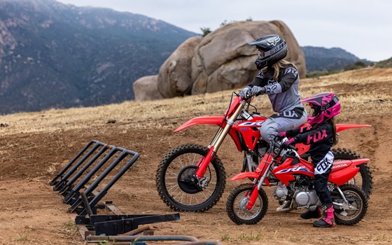 Neufahrzeug Honda CRF 50 F - Bild 3 Neufahrzeug Honda CRF 50 F - Bild 3