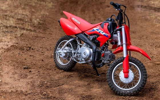 Neufahrzeug Honda CRF 50 F - Bild 6 Neufahrzeug Honda CRF 50 F - Bild 6