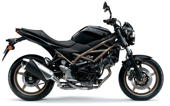 Neufahrzeug Suzuki SV650 - Bild 3