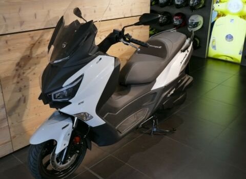 Neufahrzeug Sym Joymax Z+ 300i - Bild 2