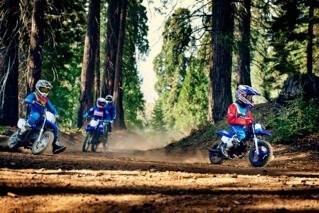 Neufahrzeug Yamaha PW50 - Bild 13