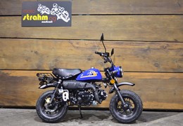 Neumotorrad Skyteam SkyMini 125