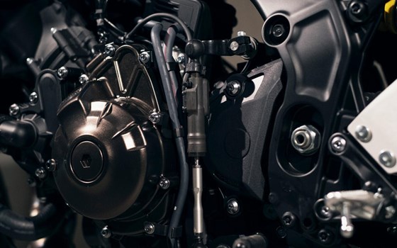 Neufahrzeug Yamaha XSR900 - Bild 7