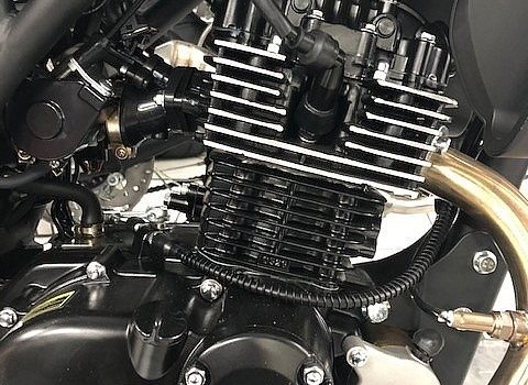 Neufahrzeug Speedex Calibre 125i - Bild 6