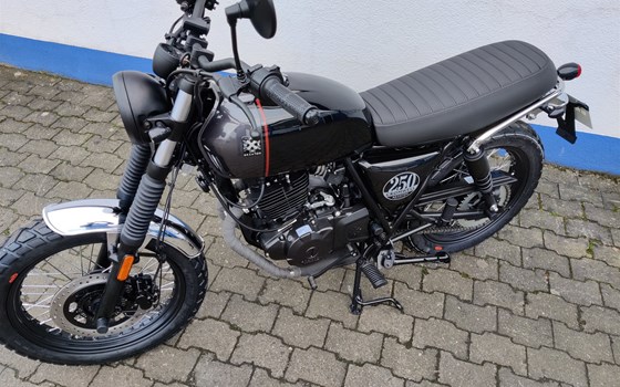 Neufahrzeug Brixton Cromwell 250 - Bild 10