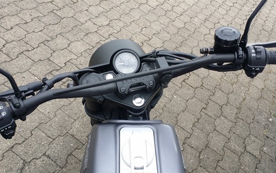 Neufahrzeug Brixton Felsberg 250 - Bild 6