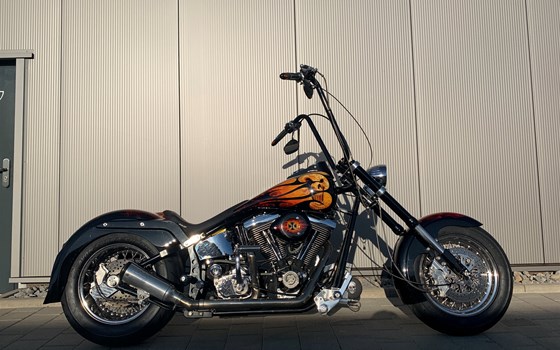 Gebrauchtmotorrad Harley-Davidson Softail Standard FXST - Bild 1