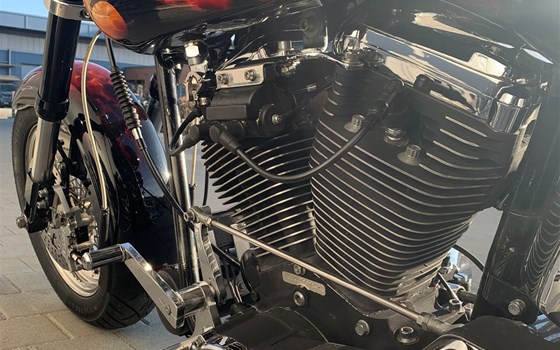 Gebrauchtmotorrad Harley-Davidson Softail Standard FXST - Bild 20