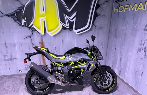 Neumotorrad Kawasaki Z125