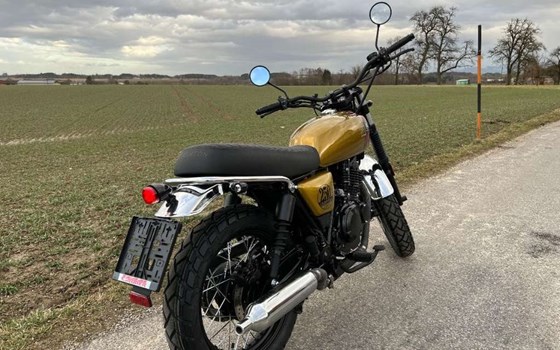 Neufahrzeug Brixton Cromwell 250 - Bild 4 Neufahrzeug Brixton Cromwell 250 - Bild 4