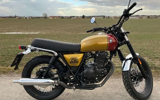 Neufahrzeug Brixton Cromwell 250 - Bild 6 Neufahrzeug Brixton Cromwell 250 - Bild 6