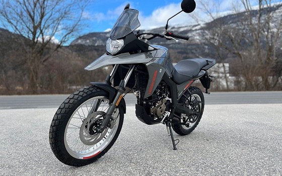 Neufahrzeug Malaguti Dune 125 - Bild 2