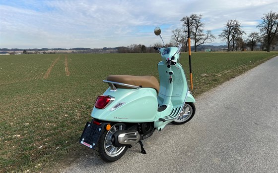 Neufahrzeug Vespa 125 Primavera - Bild 3 Neufahrzeug Vespa 125 Primavera - Bild 3