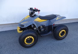 Neumotorrad Access MiniSport 110 Neumotorrad Access MiniSport 110