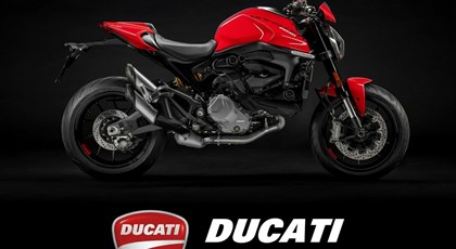 Neumotorrad Ducati Monster 