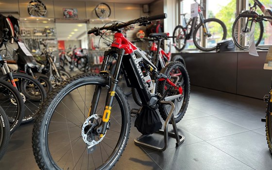 Neufahrzeug Ducati TK-01RR - Bild 2