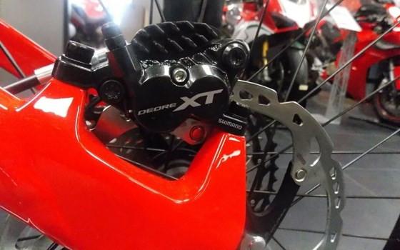 Neufahrzeug Ducati TK-01RR - Bild 6