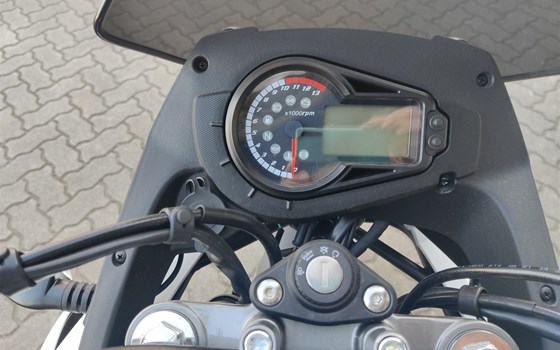 Neufahrzeug Malaguti Dune 125 - Bild 9