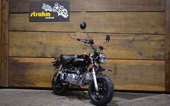 Neufahrzeug Skyteam SkyMini 125 - Bild 2